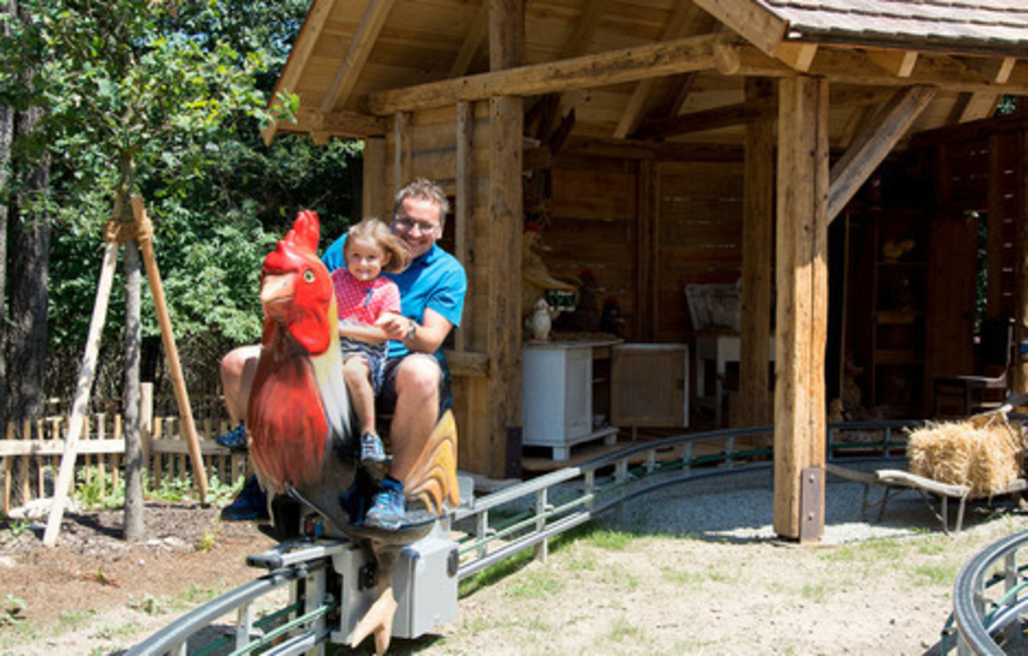Gockeljagd