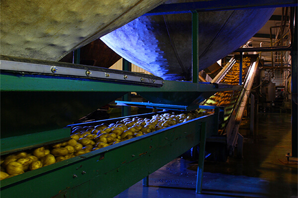 Tayto Factory Tour