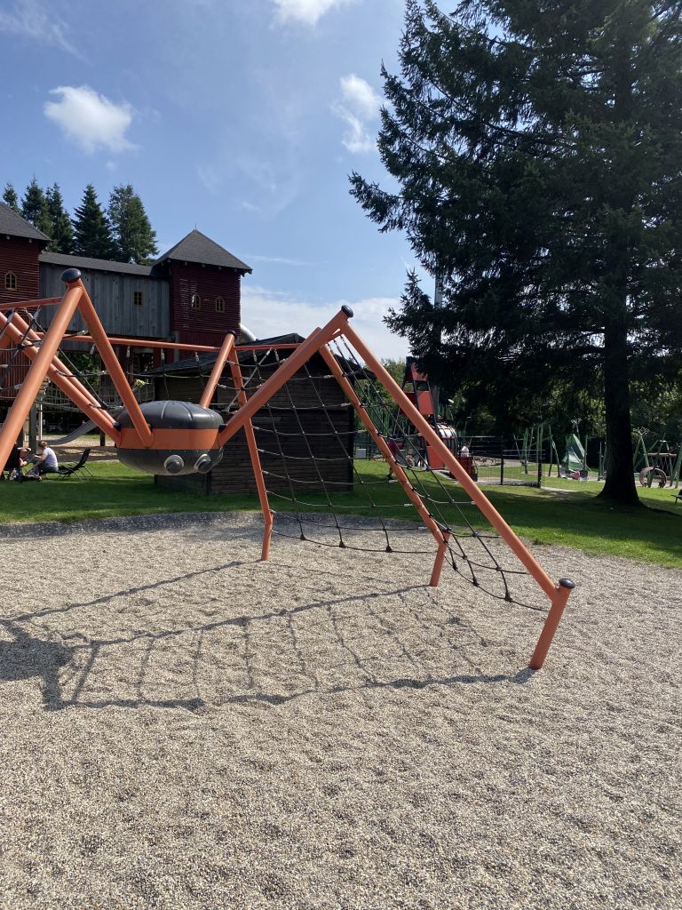 Spider