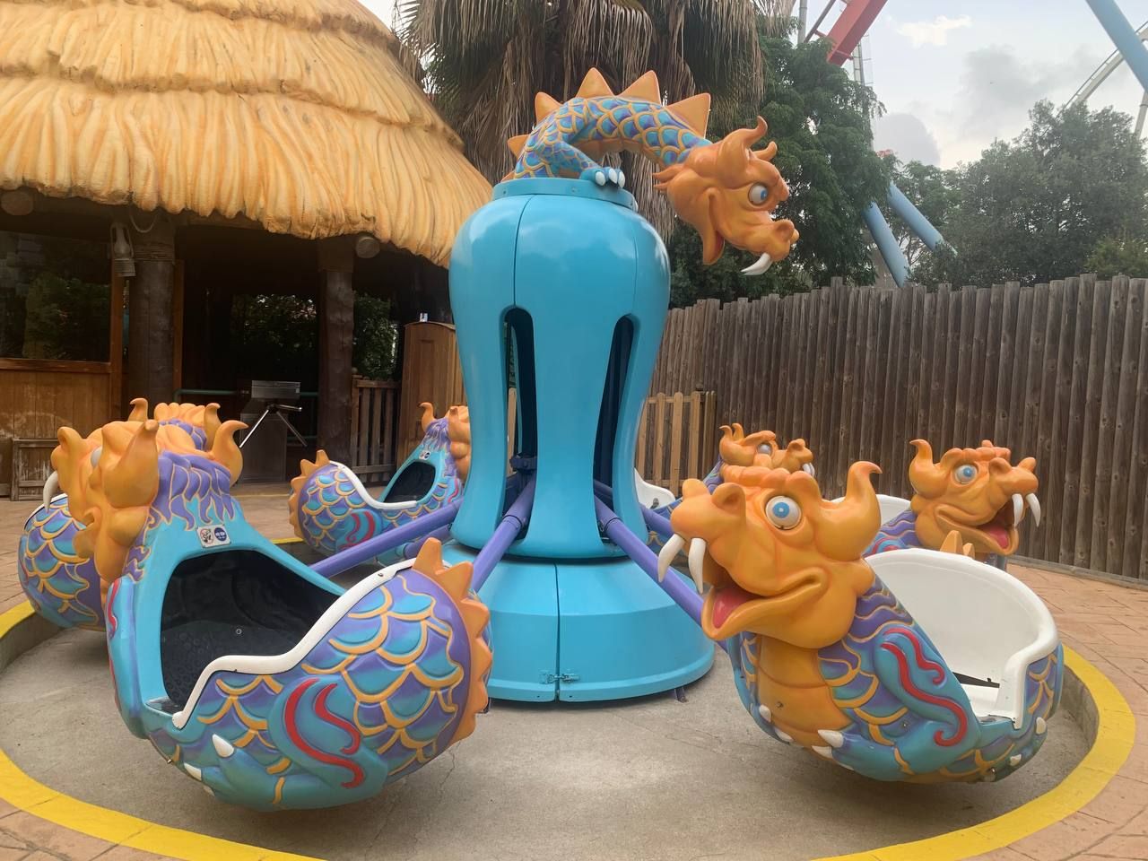 Kiddie Dragons