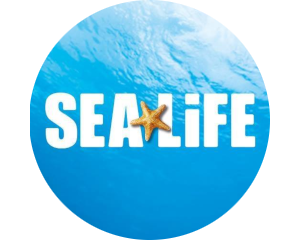 sealife.png