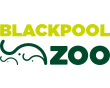 logo-blackpool-green.png