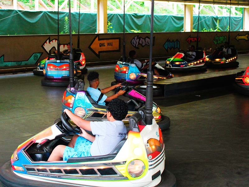 Bumper Cars