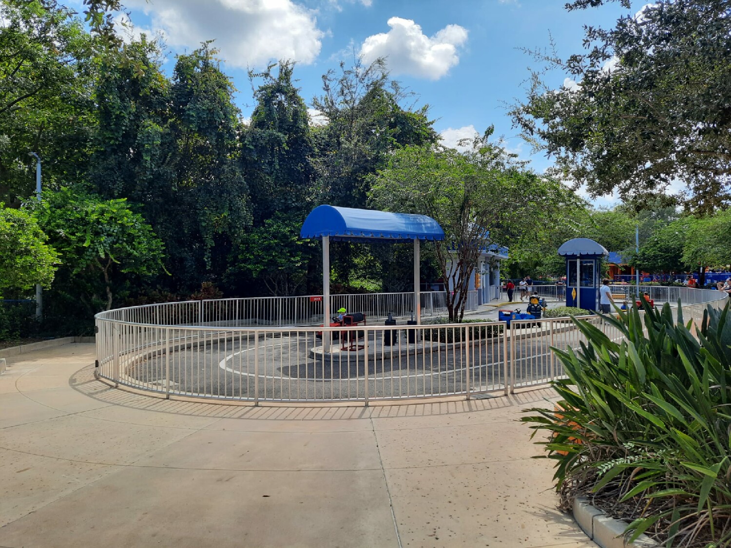 Jr. Driving School