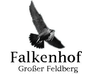 42273-4a273f7d69ff2e81a36ec23c7073c04a60fd1451.png