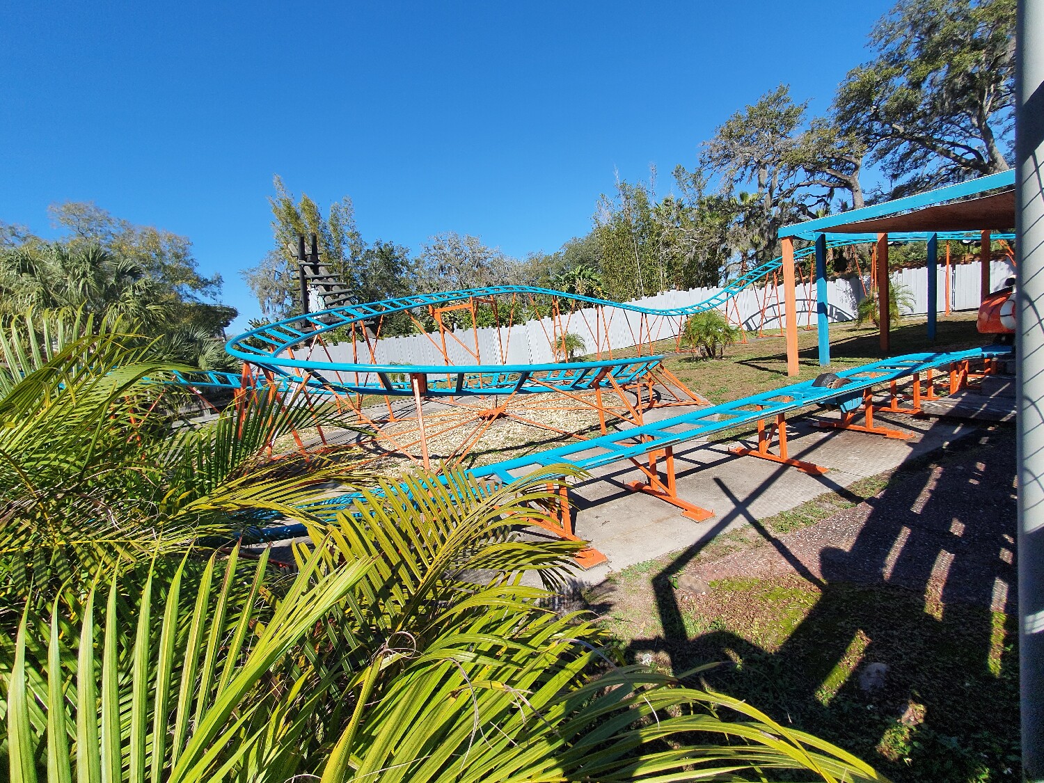 Tasmanian Tiger Coaster