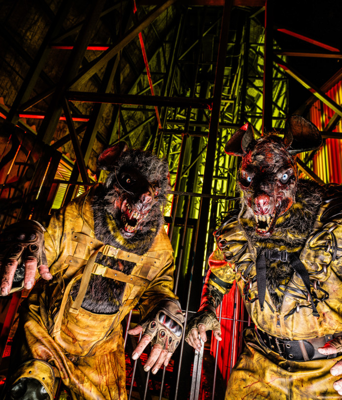 Mad  Rat (Halloween Fright Nights 2026)