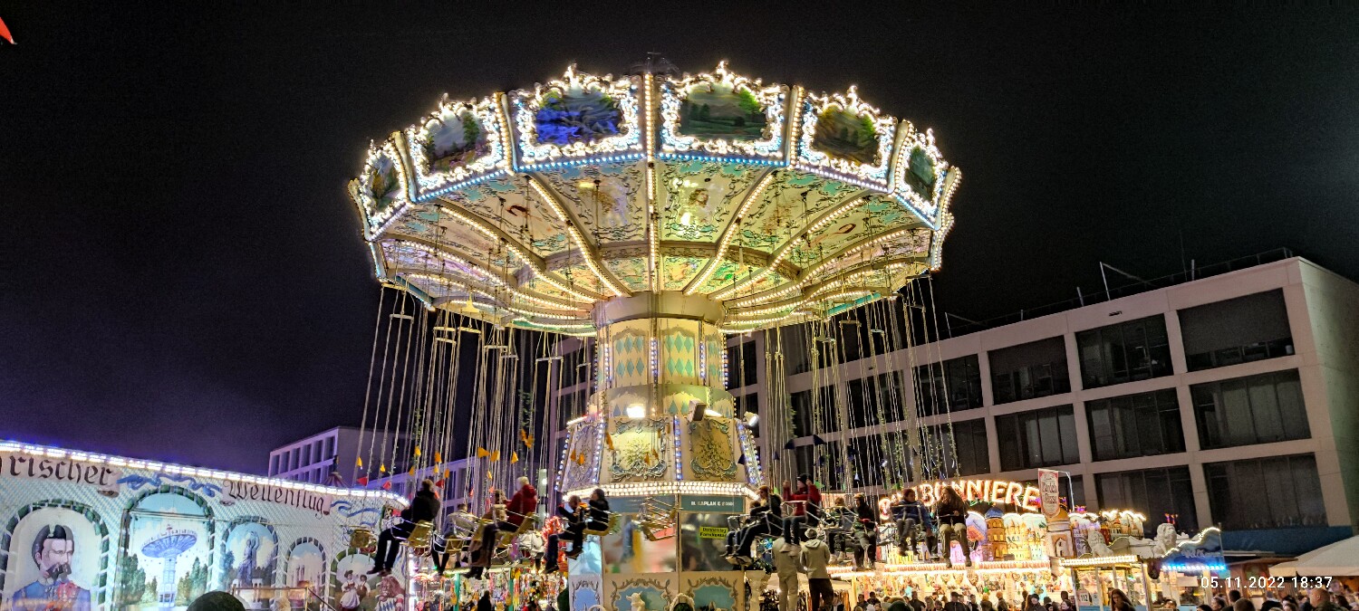 Königlicher Wellenflug