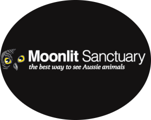 moonlit.png