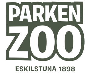 53558-66d1792b9c80c616acb3c816b9fa99a0b5e6edbc.png