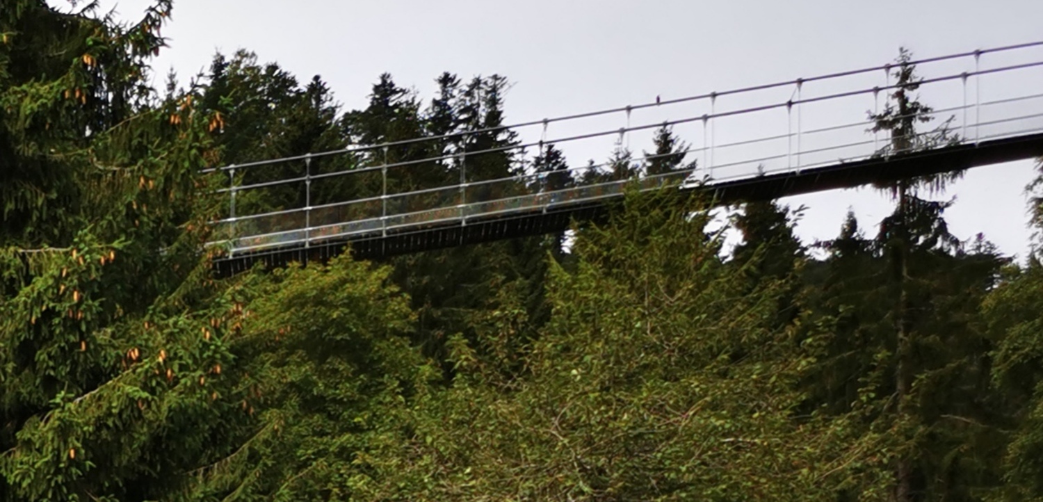 Erlebnis-Hängeseilbrücke