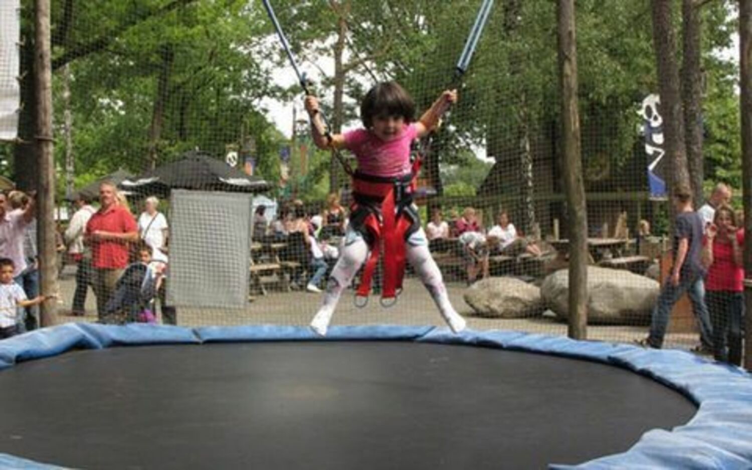 Baba's Bungee