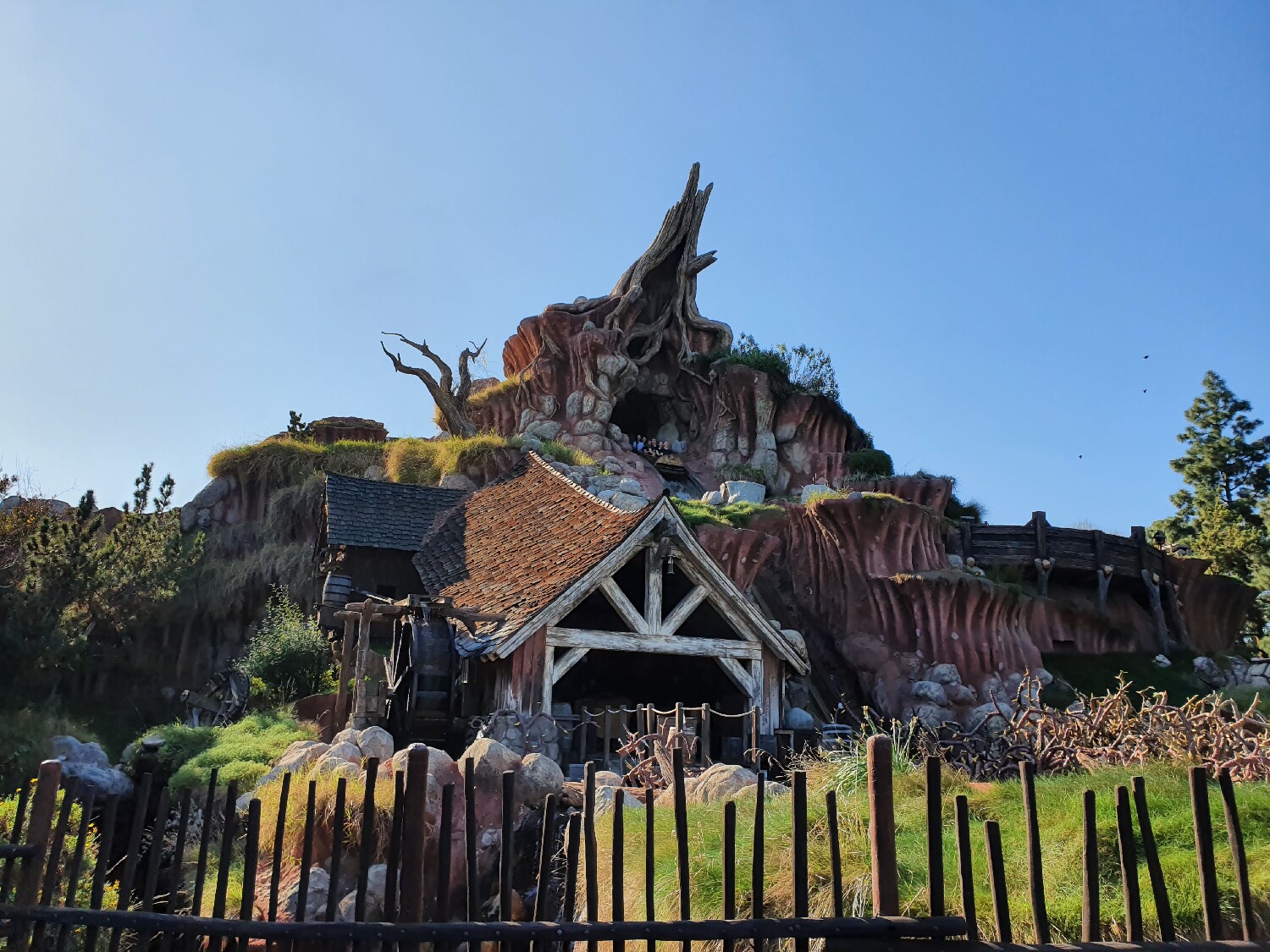 Tiana's Bayou Adventure