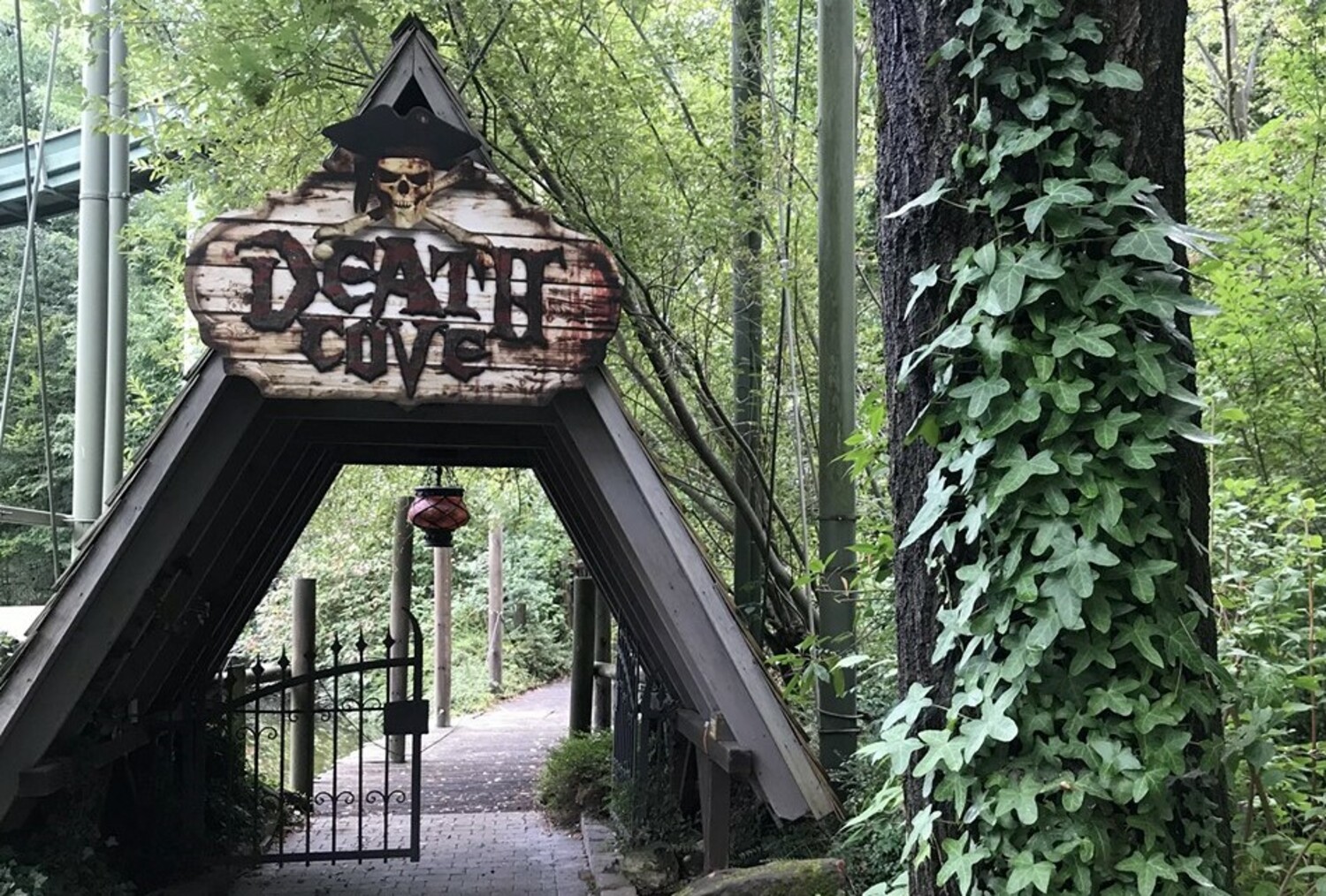 Death Cove (2019 - 2022)