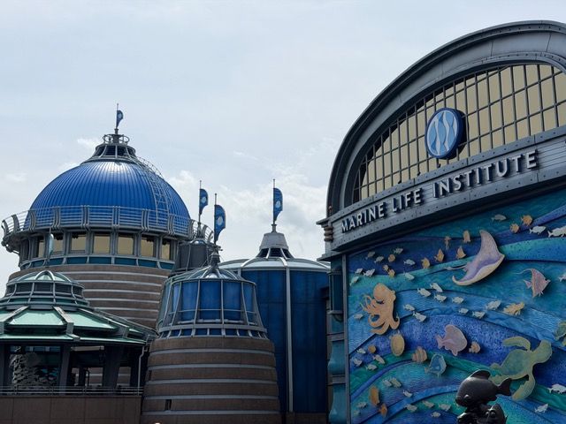 Nemo & Friends SeaRider