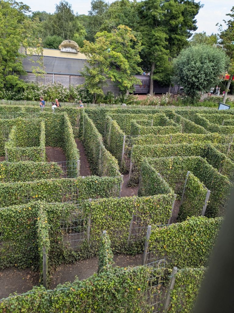 Doolhof