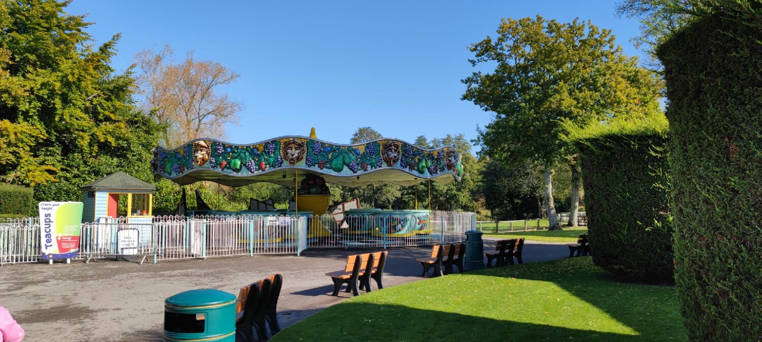Tea Cup Ride