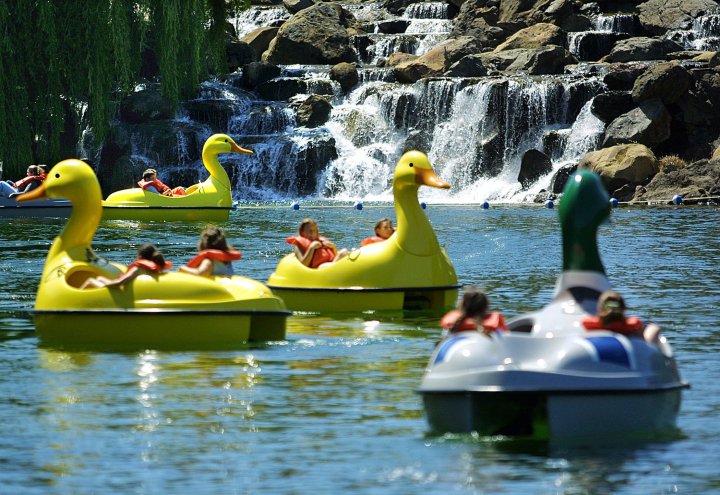 Paddle Boats