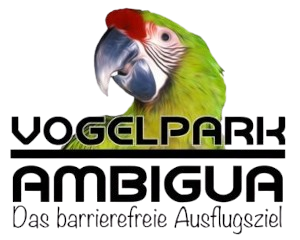 43798-8735236cf2c0c6481bc446b6b90818b0421fb80b.png