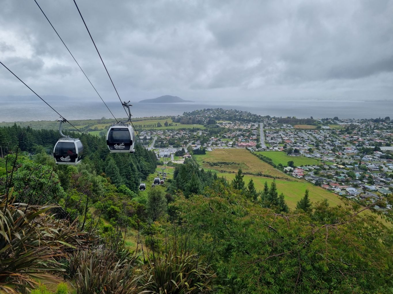 Rotorua Gondola