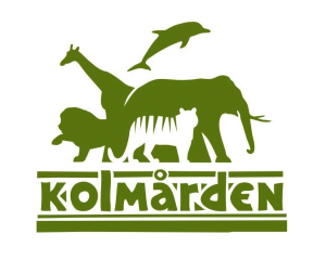 52915-8e7b620134dd92e1616c828af643f35fd944f1dd.png