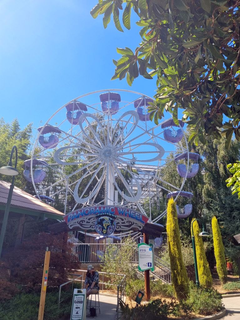 Panoramic Wheel