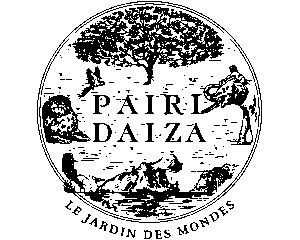 pairi.png
