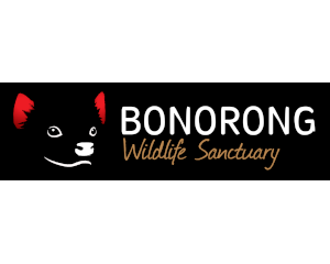 Bonorong-Logo-Rectangle---Solid-Edge---RGB.png