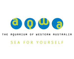 aqwa.png