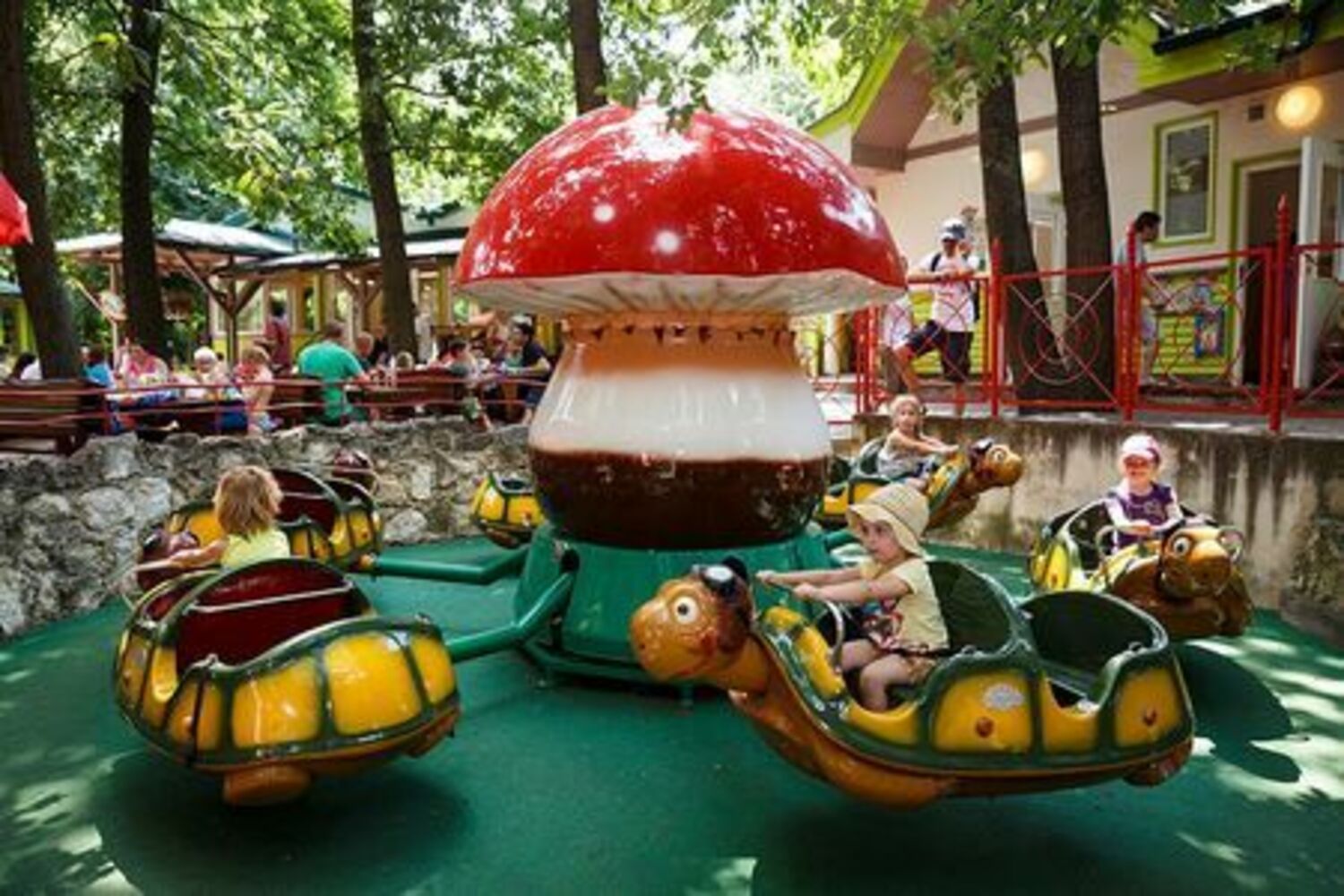 Schildkrötenkarussell