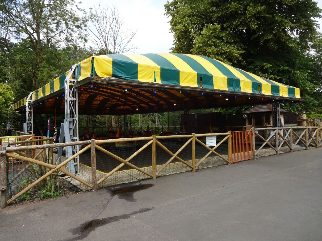 Jungle Cat Dodgems