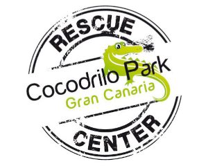 45240-b40ce90ca053480356001ba85f2edd30c461098f.png
