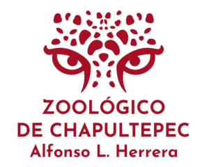 32891-b4677340ae2d367f83215fba71a5a081b5c76648.png