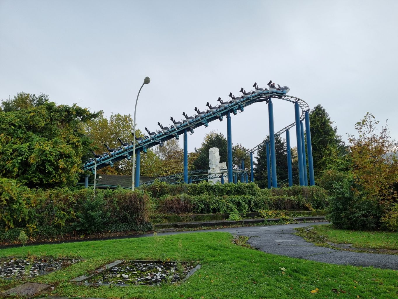 Orca Ride