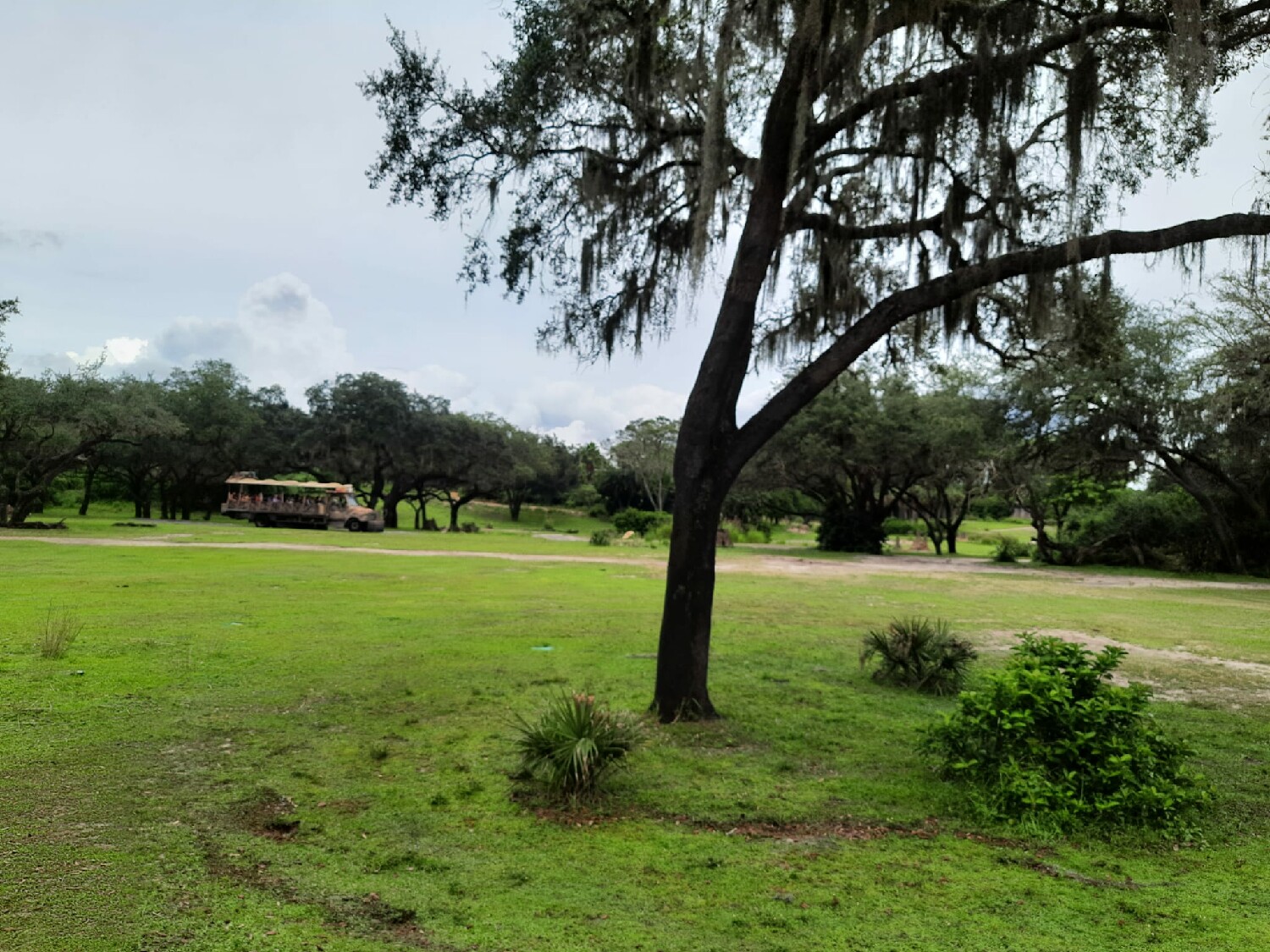 Kilimanjaro Safaris