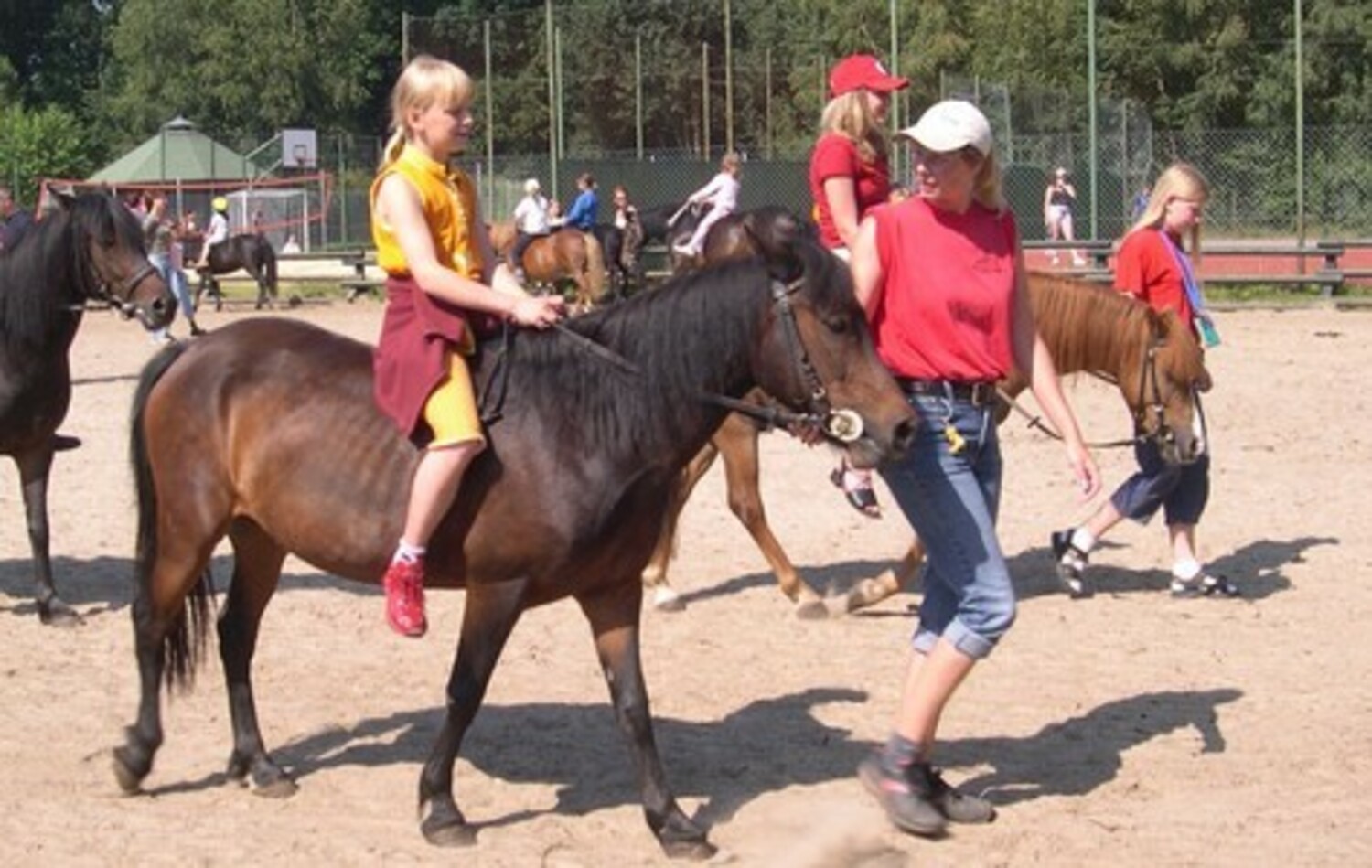 Ponystall und Reitplatz