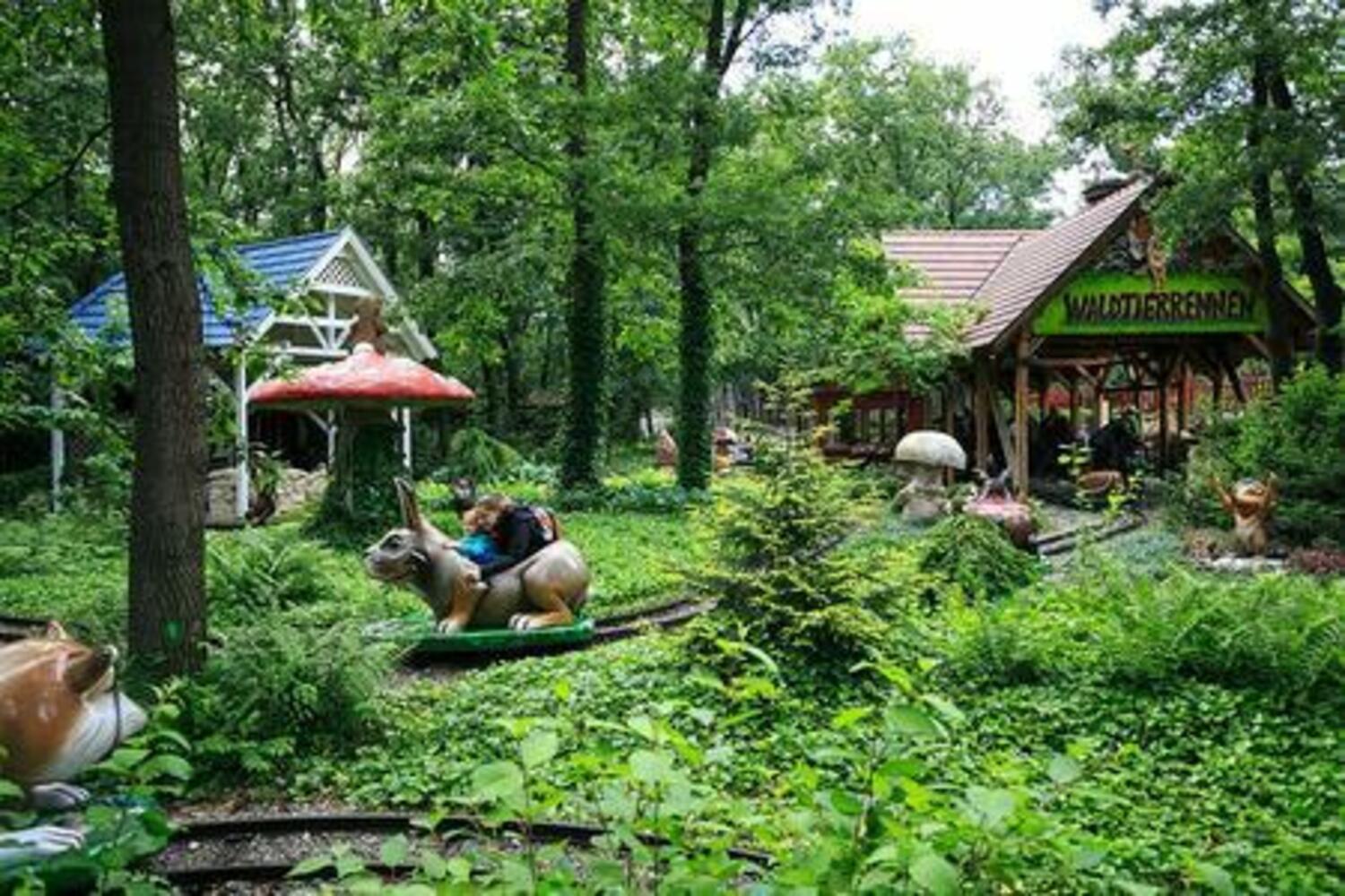 Waldtierrennen