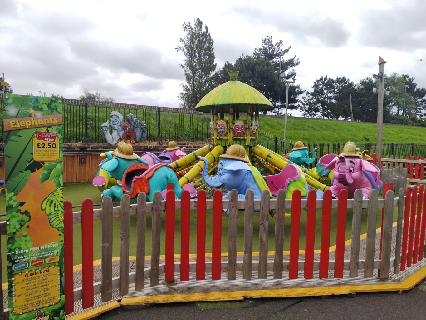 The Elephants