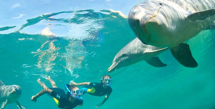 Dolphine Cay