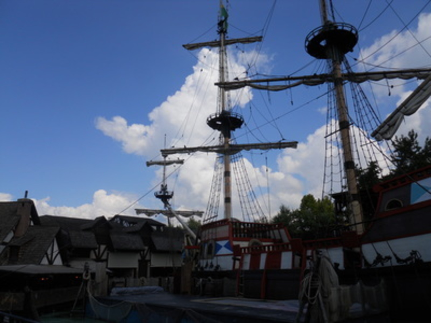 Animal Treasure Island -New 2025-