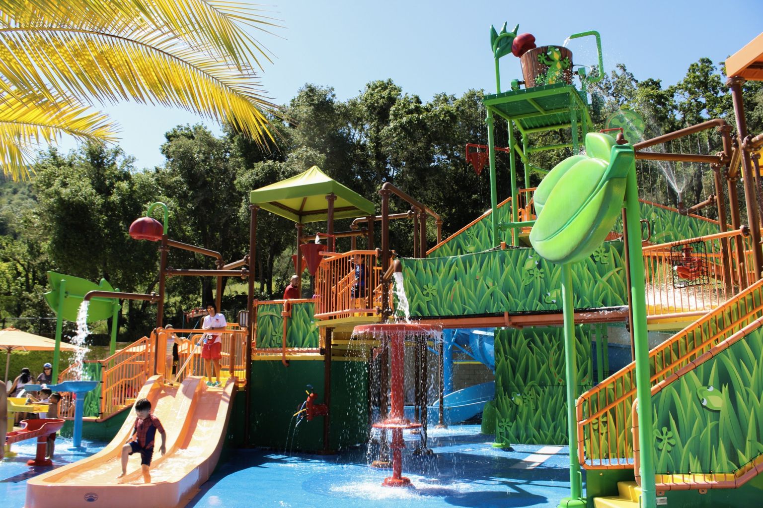 Water Oasis