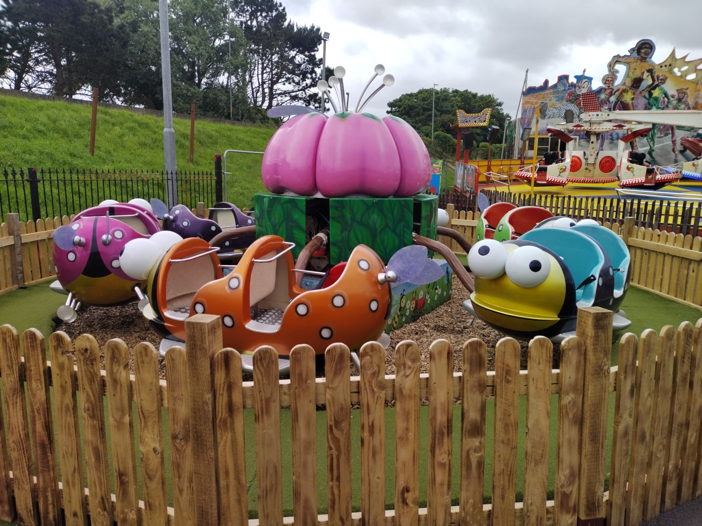 Bouncing Bugs