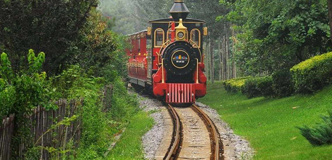 环园小火车 / Train around the park