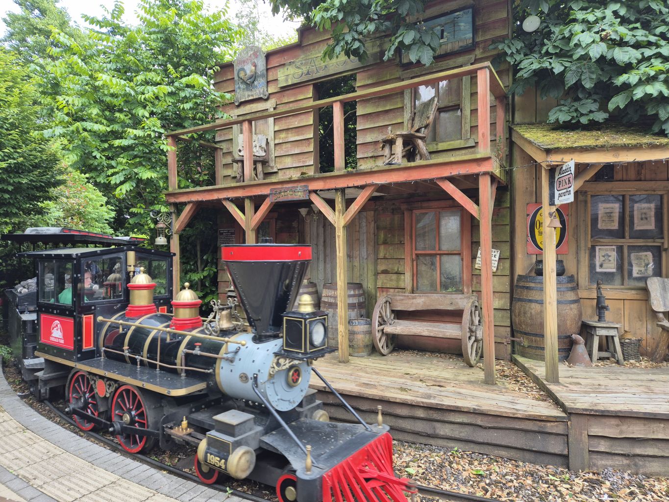 Steam Train Express