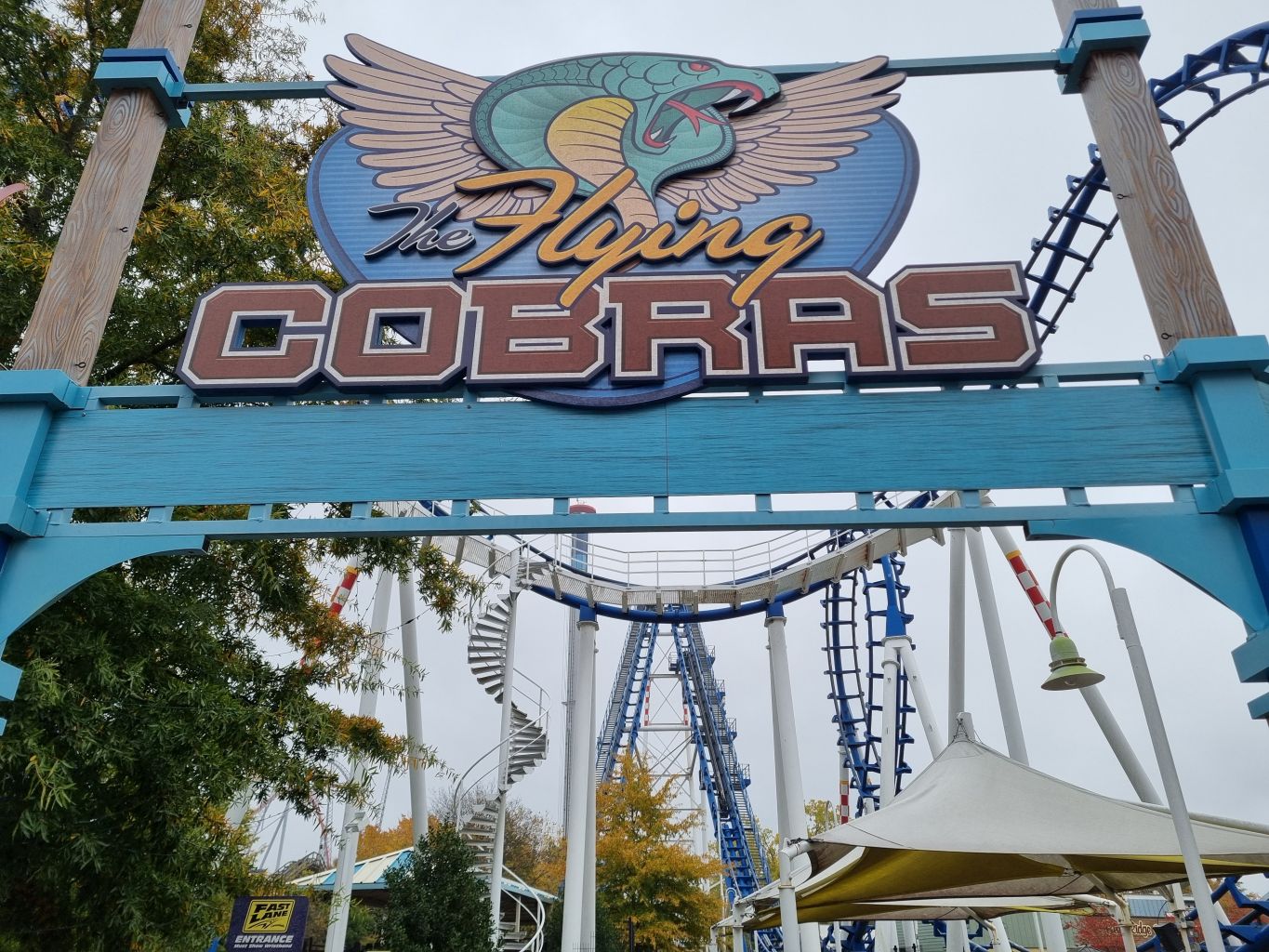 The Flying Cobras