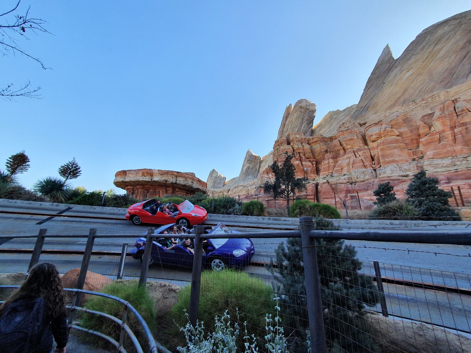 Radiator Spring Racers