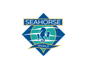 seahorse.png