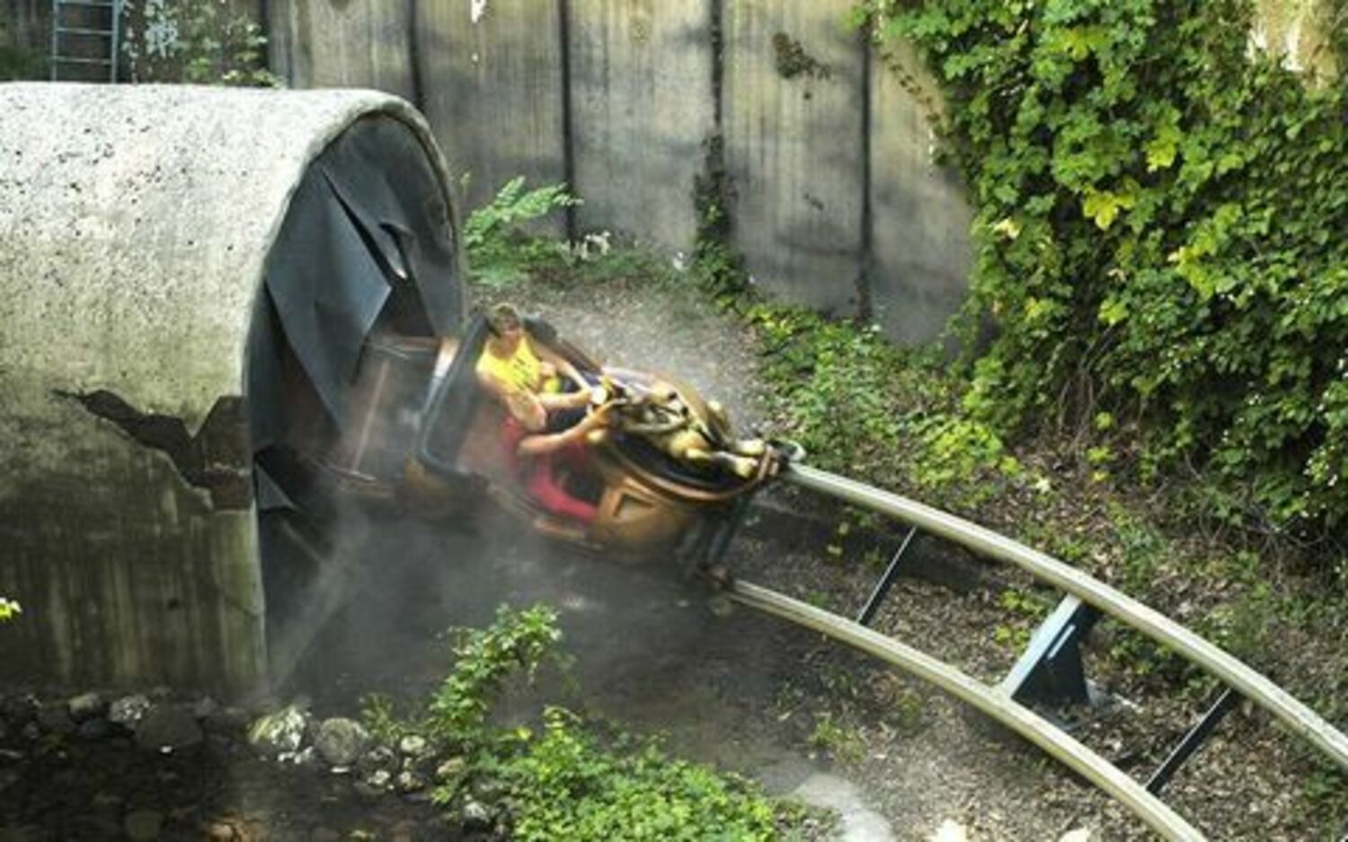 Rioolrat