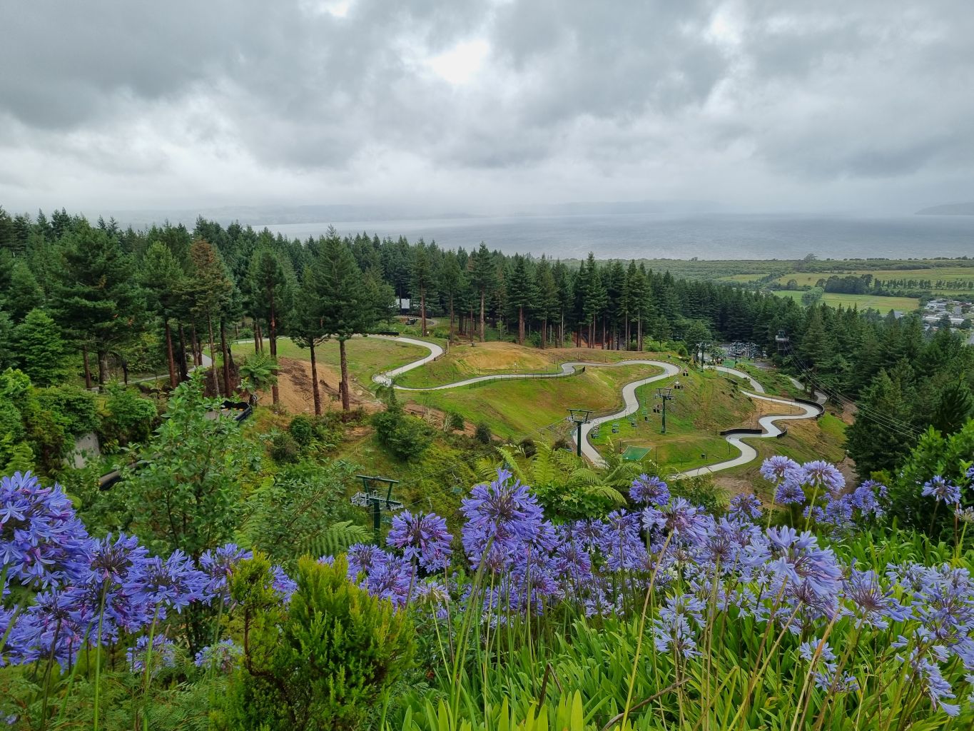 Luge Rotorua